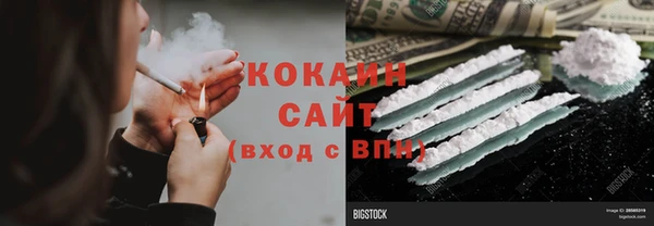 apvp Алзамай