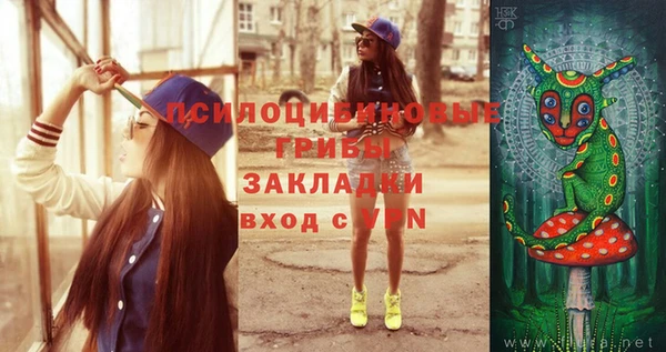 apvp Алзамай