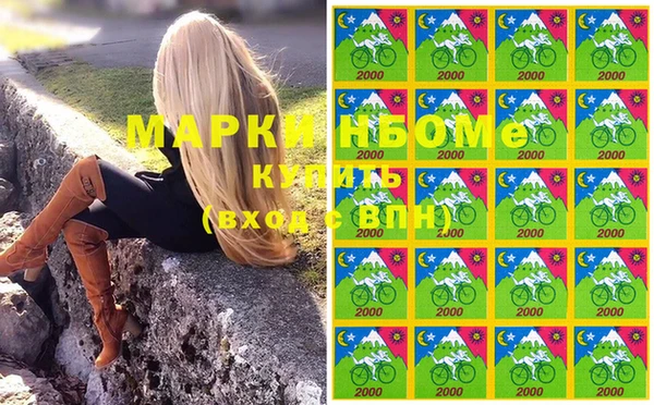 apvp Алзамай