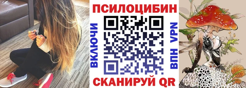omg маркетплейс  Сосновый Бор  Псилоцибиновые грибы Cubensis 